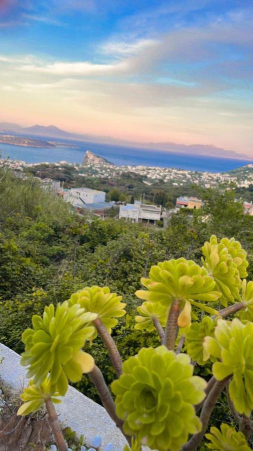 Relais Villa Ettore Barano dʼIschia Eksteriør billede