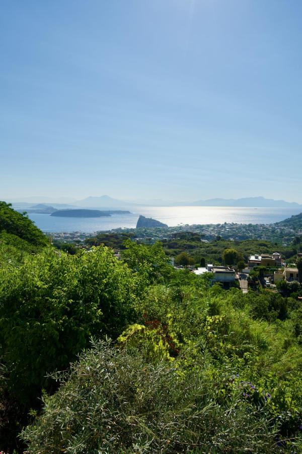 Relais Villa Ettore Barano dʼIschia Eksteriør billede