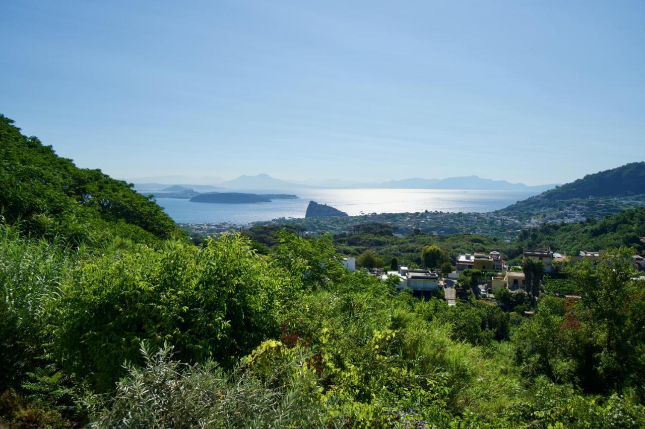Relais Villa Ettore Barano dʼIschia Eksteriør billede