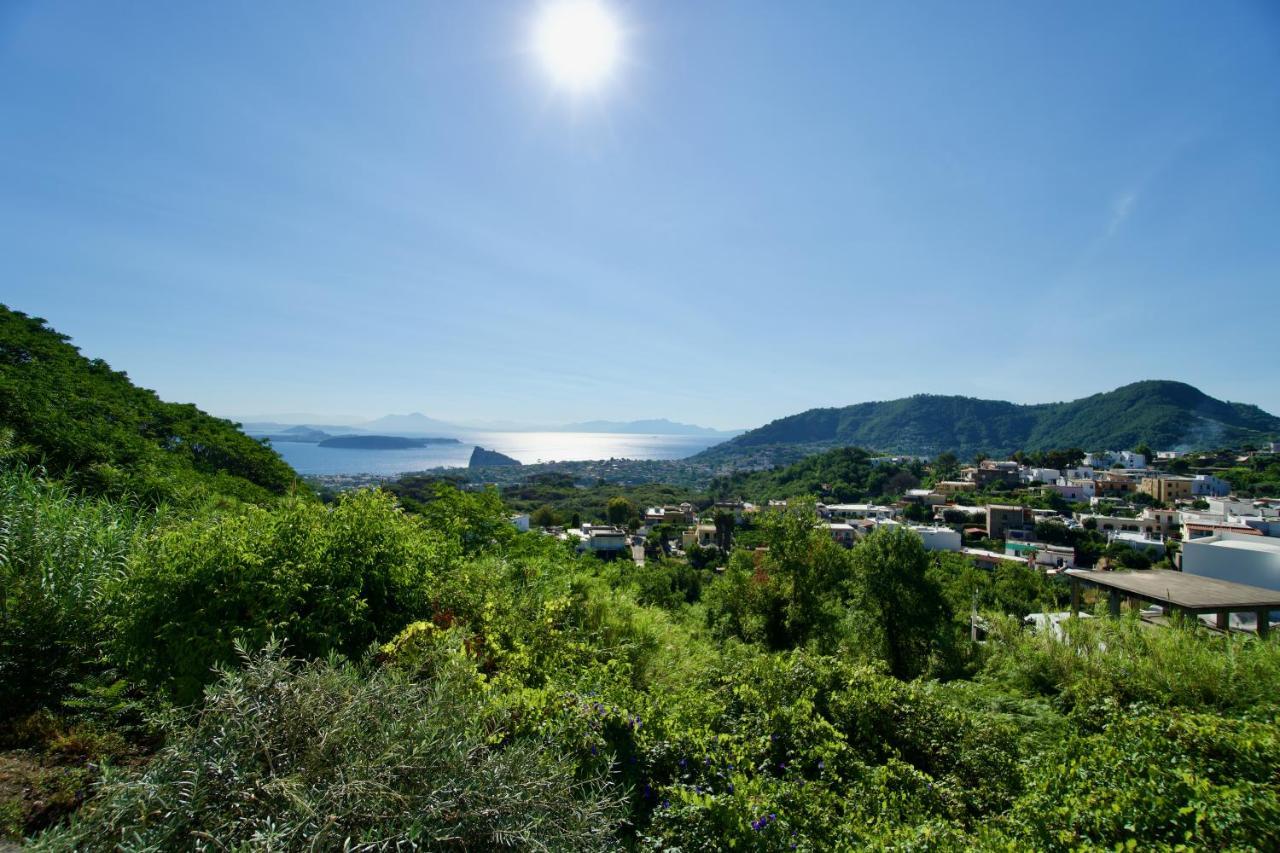 Relais Villa Ettore Barano dʼIschia Eksteriør billede