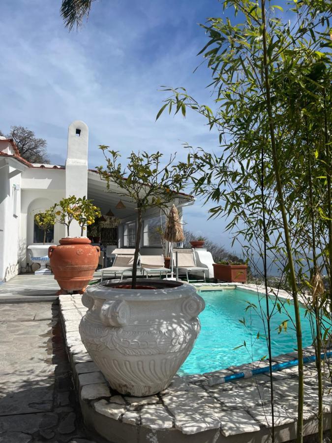 Relais Villa Ettore Barano dʼIschia Eksteriør billede